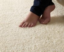 plain-carpet